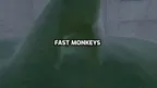 Fast Monkeys screenshot 3