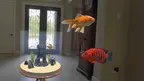 Magic Goldfish Bowl AR screenshot 2