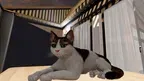 My Cat Simulator screenshot 4