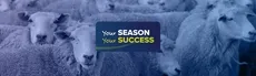 Your Season Your Success hero image