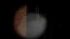 Fear Dead House screenshot 3