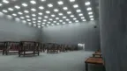 Fearful Monkeys screenshot 0