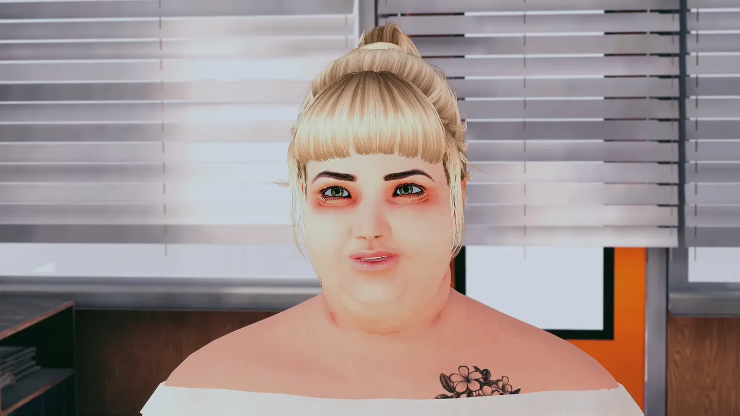 VR Laaggeletterdheid cover image