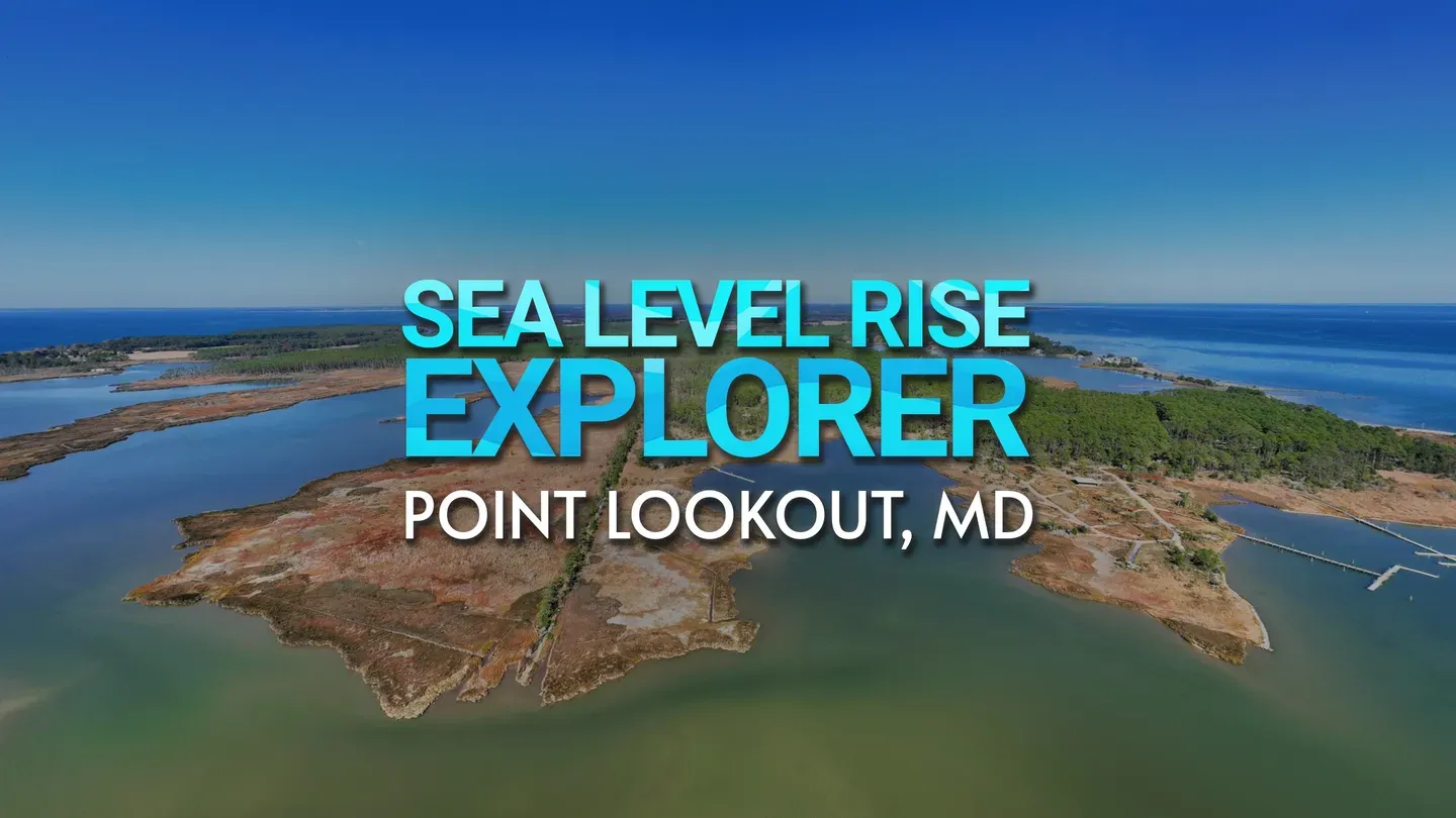 Sea Level Rise Explorer: Point Lookout trailer 0