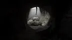Silent Gorillas screenshot 4