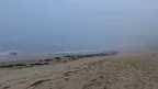 Foggy California Beach - VR Backgrounds screenshot 5