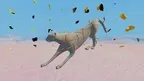 Animal Jigsaw VR screenshot 2