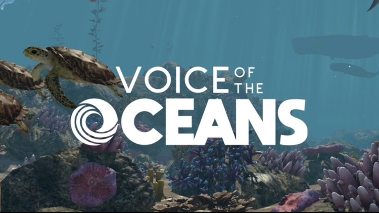 Developer update image for Embark on a Virtual Ocean Adventure: 'Can You Hear Me?' – A Revolutionary VR Journey for Ocean Conservation