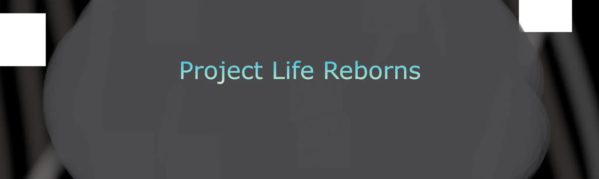 Project Life Reborns