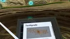 White Sands National Park: Beyond the Dunes screenshot 5