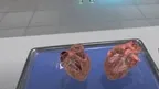  Dissection Simulator: Mammalian Organ Pack screenshot 4