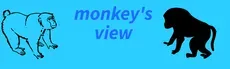 monkeys view hero image