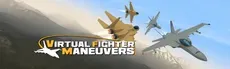 Virtual Fighter Maneuvers hero image