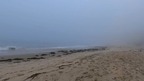 Foggy California Beach - VR Backgrounds screenshot 5