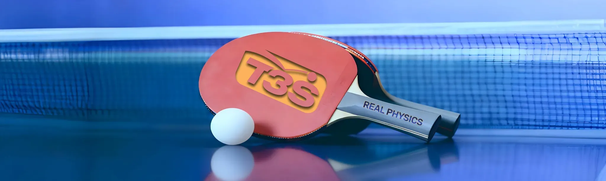 Table Tennis Training Simulator(T3S)