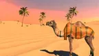 Eduventure screenshot 3