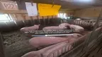 360 tour of Lyngbogaard screenshot 3