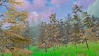 Forest Chill screenshot 3