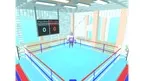 Virtual Knockout screenshot 2