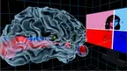 UW Virtual Brain Project screenshot 1