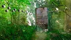 3D scan of a ruin in a forest screenshot 1
