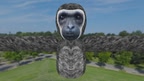 Monkey Game screenshot 0