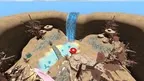 Chimp Swingers screenshot 2