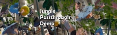 Jungle Passthrough Demo