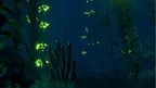 DeepSee VR screenshot 3