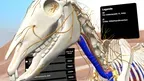 ATM Academy screenshot 2