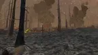 Forest Fire Regrowth screenshot 3