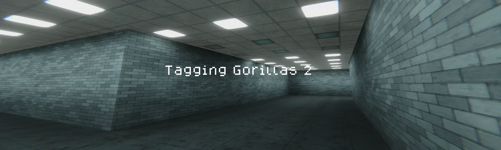 Tagging Gorillas 2