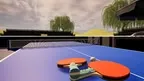 Table Tennis Star screenshot 4