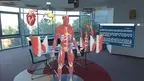 Human Anatomy VR screenshot 1