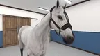 VetSkill Equine OSCE Practise Stations screenshot 4