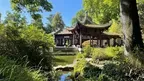 Calm VR: Japanese Garden Wellness Escape screenshot 0