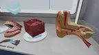 Anatomy Learning Labs: Complete Set screenshot 4