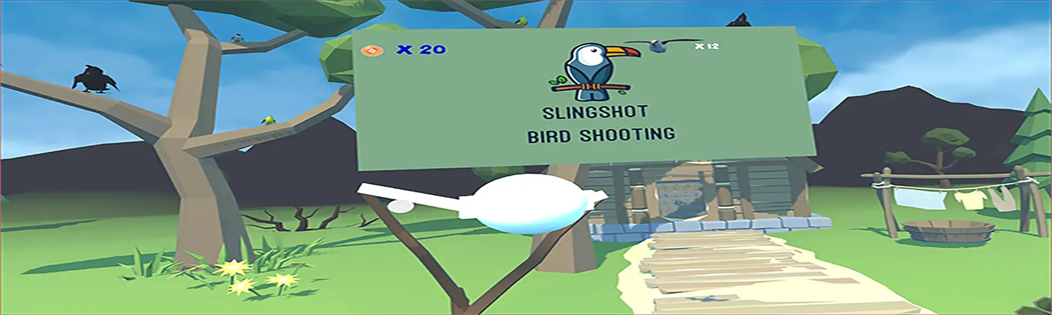 Slingshot Bird Shooting