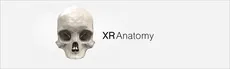 XR Anatomy hero image