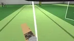 Cricket VR Standalone screenshot 1