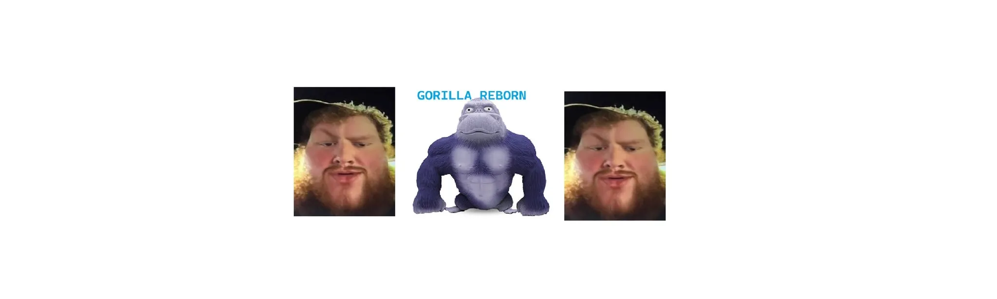 GORILLA REBORN hero image