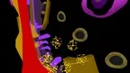 Geri Hahn Art MR screenshot 5