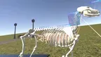 the anatomy of a dog screenshot 5