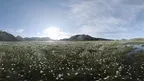 Flow Meditation screenshot 2