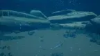 Marenostrum.VR screenshot 1