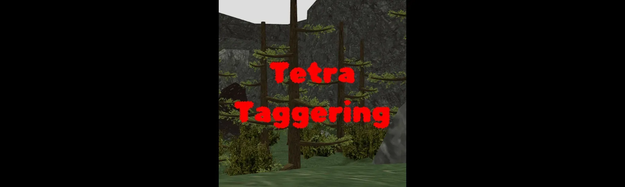 Tetra Taggering