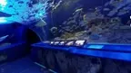 Walkable 360 Video screenshot 2