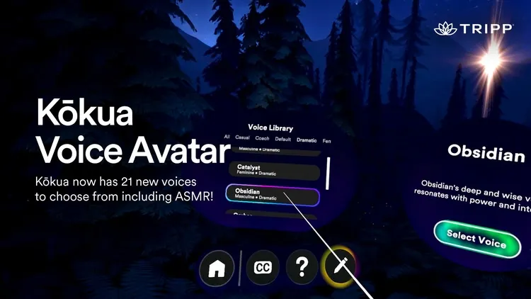 Developer update image for New Voices for Kōkua
