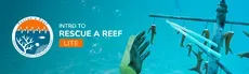 How to Rescue a Reef LITE hero image