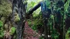 3D scan of a basalt canyon screenshot 4